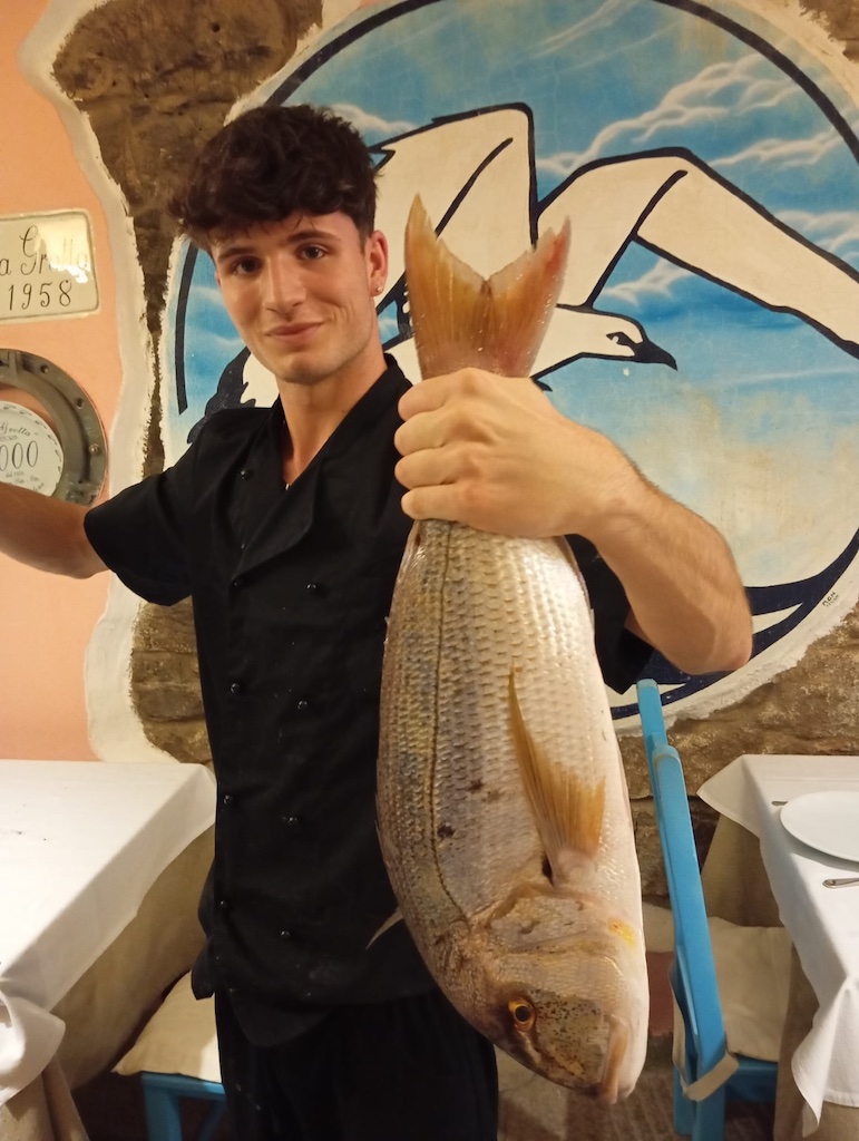 Mirko, la cuarta generación en acción
