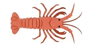 Langosta