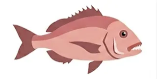 Dentón