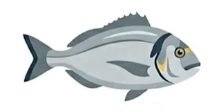 Dorada